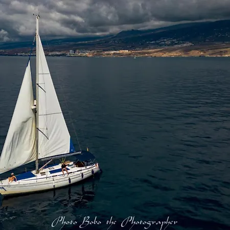 Nomada * アデヘ